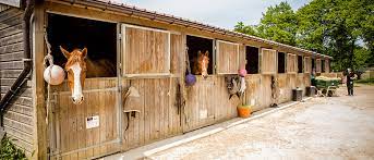 pension chevaux